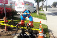 Lakewood, CA - Backflow Installation and Repair